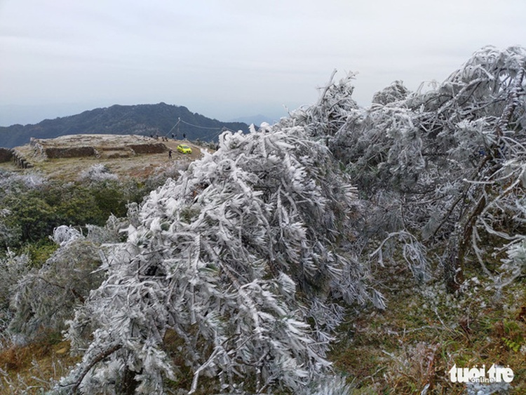Extreme weather: cold snaps, sleet in northern Vietnam, saltwater intrusion in Mekong Delta