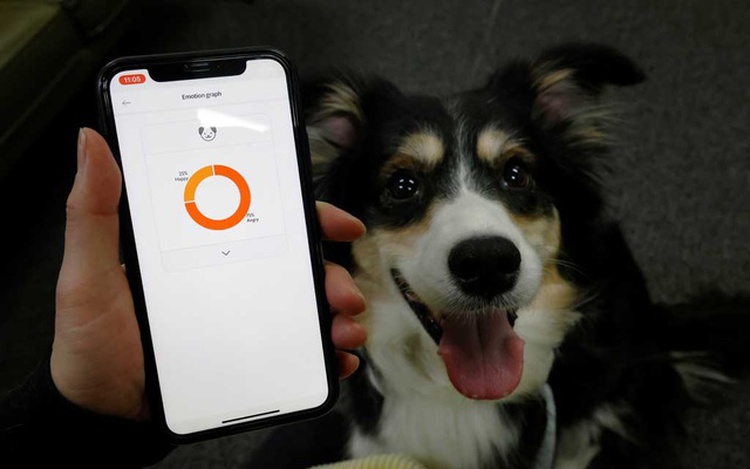 South Korean firm's smart dog collar tells owners what's in a bark