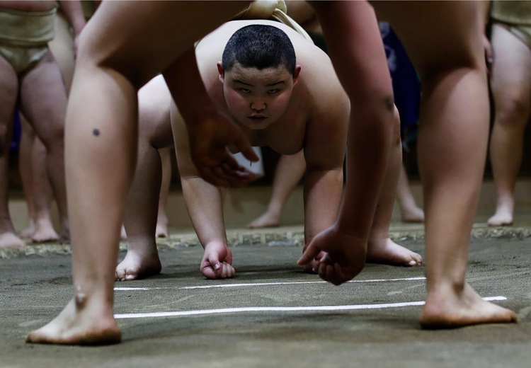 Meet Kyuta: the 10-year-old, 85-kilo sumo in training