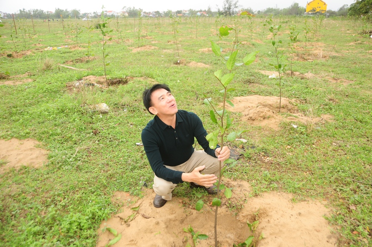 Seeds of hope: a former teacher’s dream to plant one million trees in Vietnam