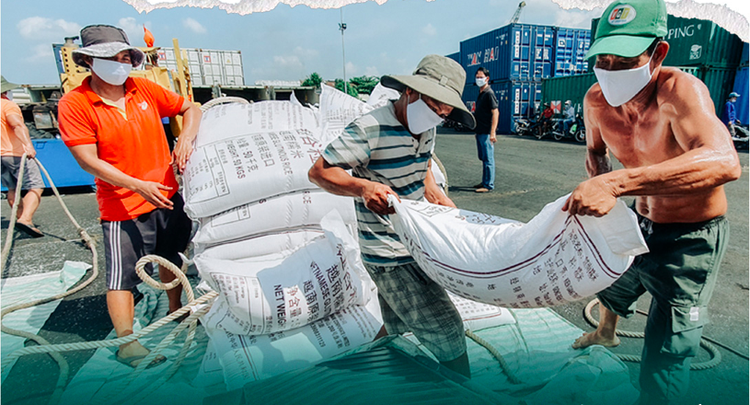Mekong Delta: A 35-year miracle change of Vietnam’s rice bowl