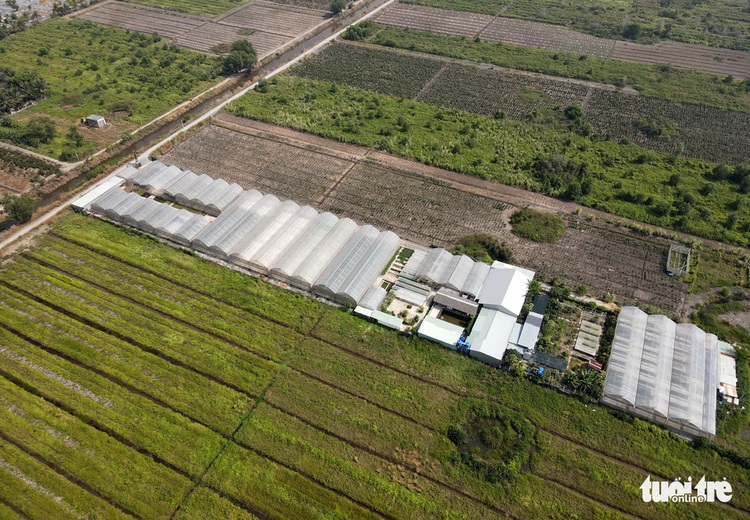 Saigon hydroponic farm brings customers freshest produce in town
