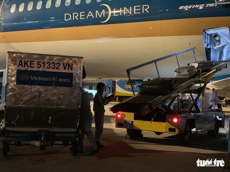 Ho Chi Minh City airport equipped with luggage disinfection system after staff caught coronavirus
