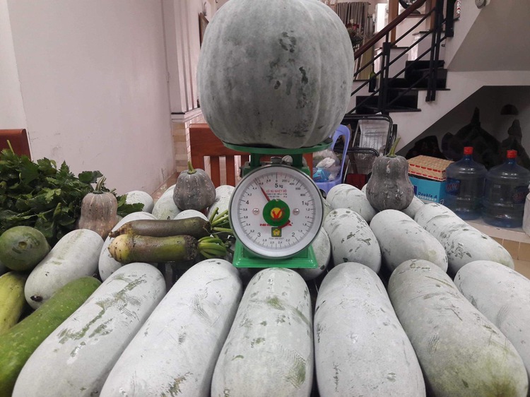 Saigon mother finds peace, not profit, in urban garden