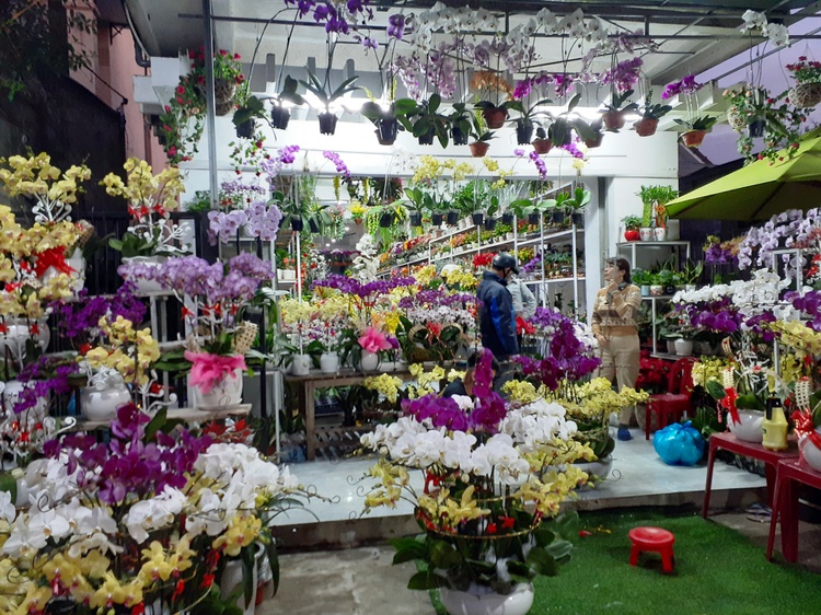 'I’m so glad I’m in Vietnam': Happy Tet and Valentine’s Day!