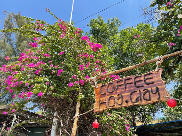 Bougainvillea in full bloom: A must-see in Vietnam's coastal Phan Thiet City