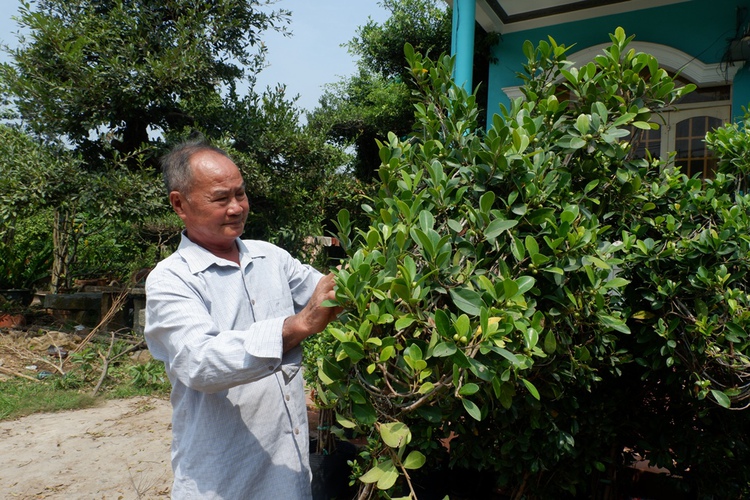 Meet the Mekong Delta’s king of plant sculpting
