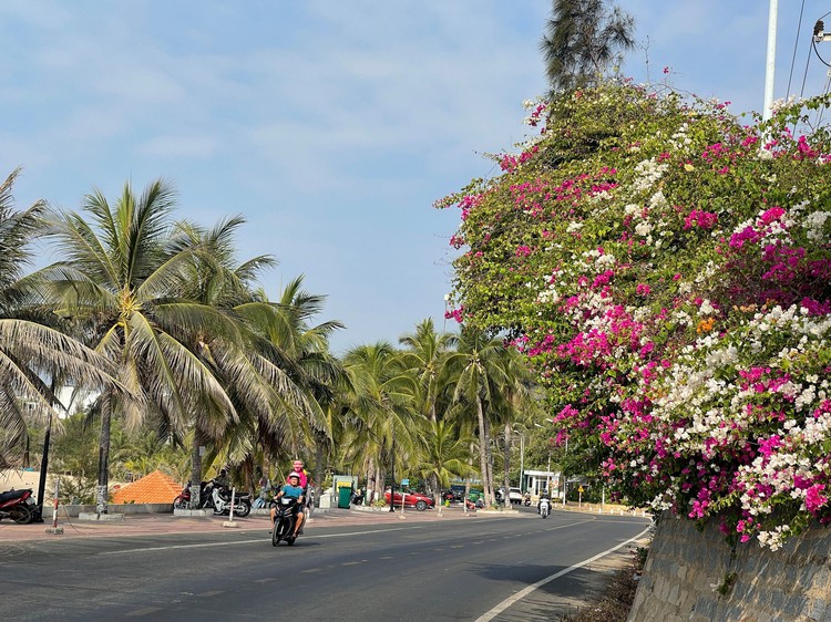 What is the best time to visit Vietnam?