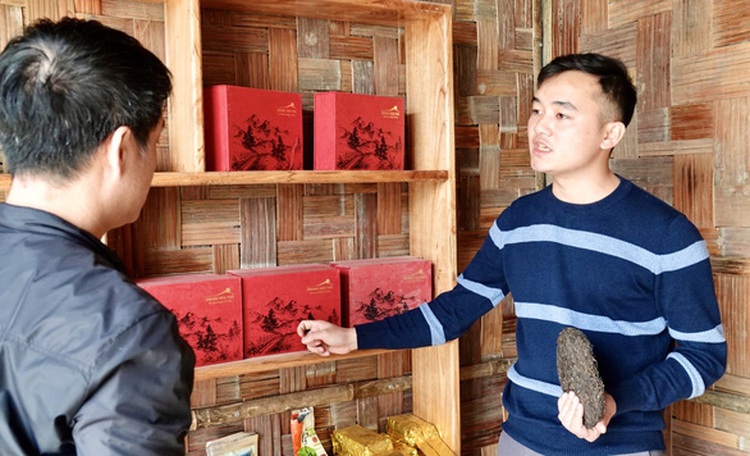 This Tay ethnic entrepreneur made a fortune from ‘shan tuyet’ tea