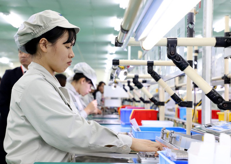 Young Vietnamese account for over 42% of unemployed workers: survey
