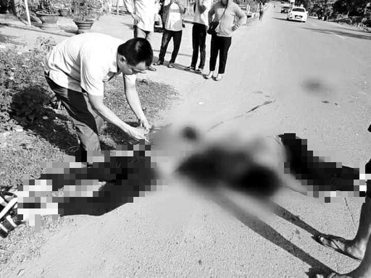 Vietnam police capture tractor-trailer driver over fatal hit-and-run