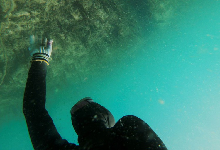 For South Korea's youngest 'sea women', warming seas mean smaller catches