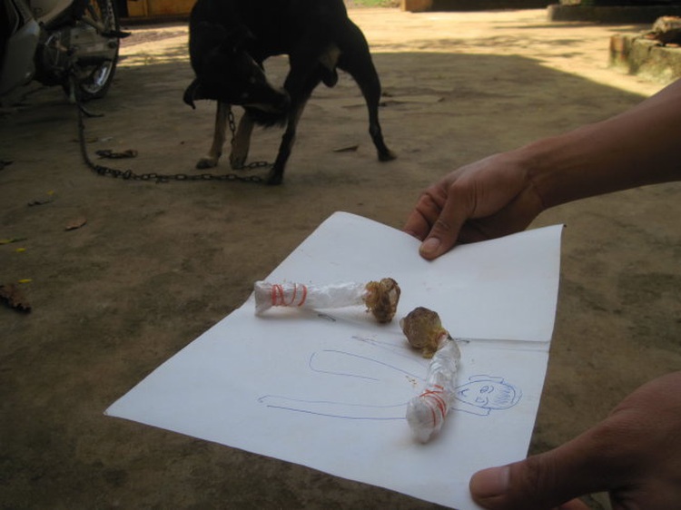 Four-year-old killed after mistaking dog poison for lollipop in Vietnam