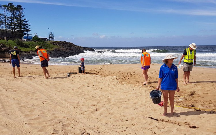 Australian academics enlist amateur scientists to study microplastics