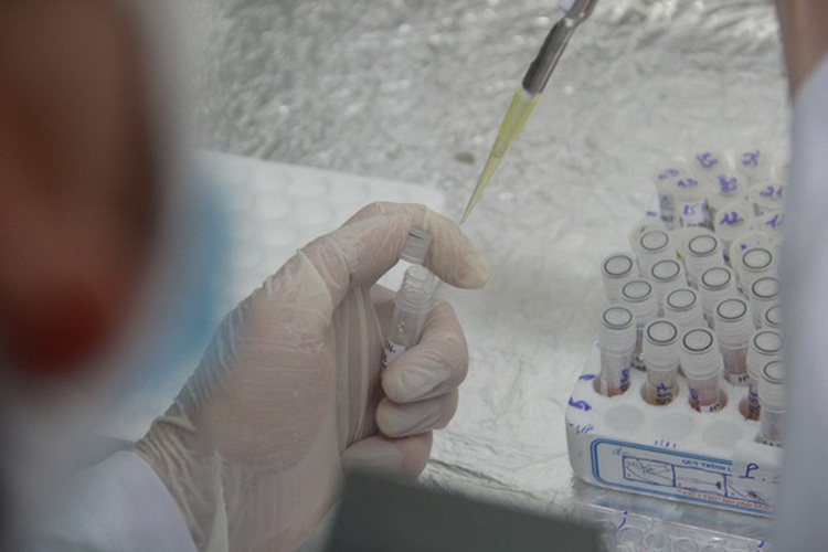 Eight more local coronavirus infections logged in Vietnam