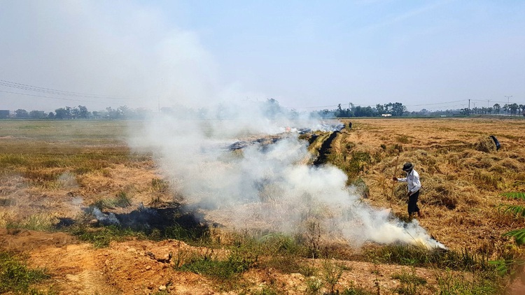 Thatch burning allegedly blankets city in central Vietnam with smog