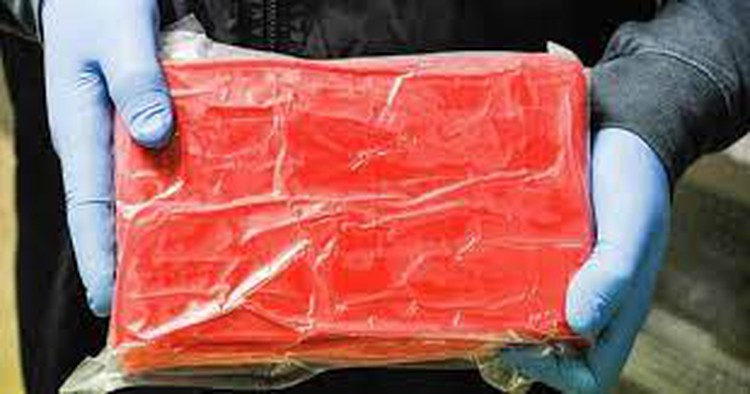 Largest drug ring operating via airway busted in Vietnam