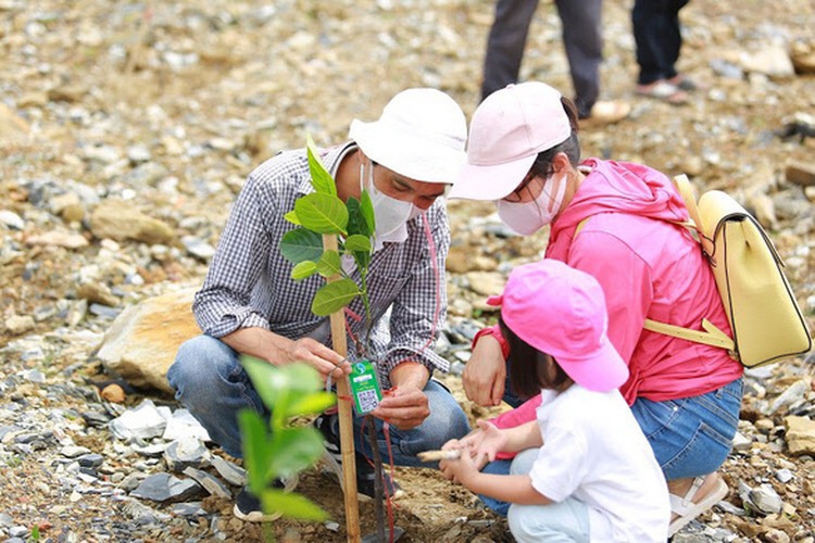 In Vietnam’s Central Highlands, ‘bombs’ revive deforested hills