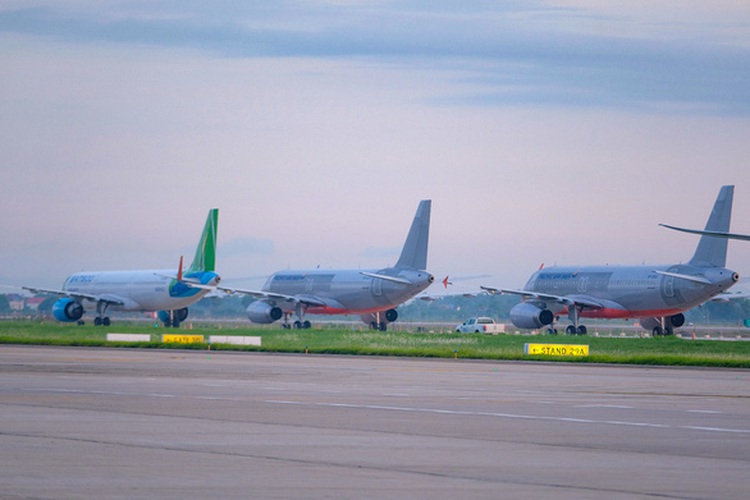 Transport ministry proposes capping Ho Chi Minh City-Hanoi flights to stem COVID-19