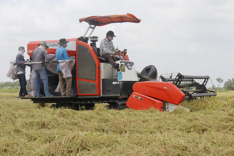 Vietnam province requires harvesters to test negative for COVID-19