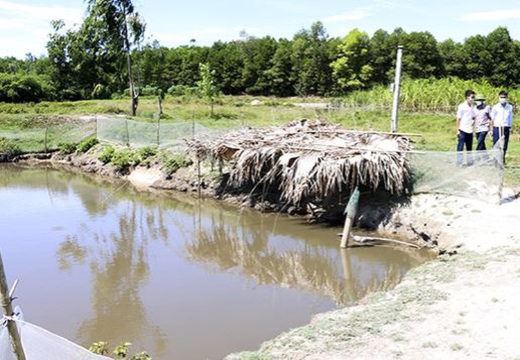 3-year-old boy drowns in fish pond in north-central Vietnam