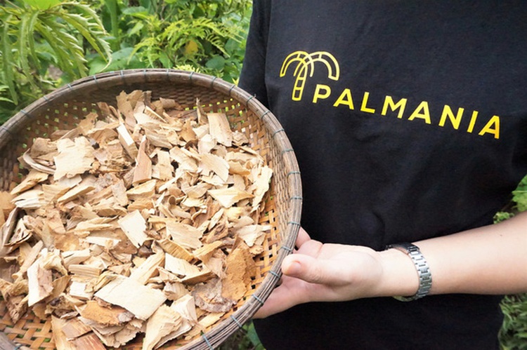 Ethnic Vietnamese woman debuts on a sweet note with homegrown nectar