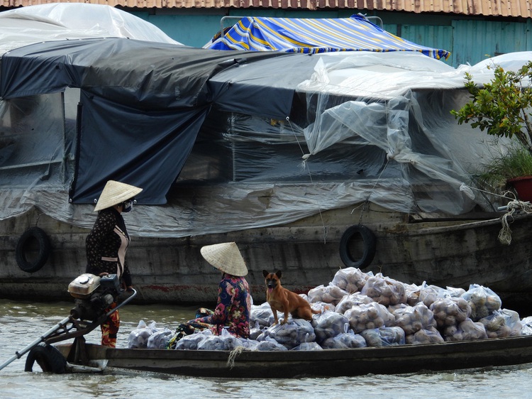 In photos: Mekong Delta’s biggest floating market quiet during social distancing