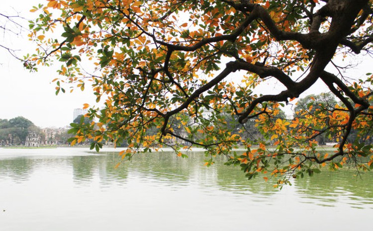 Autumn is calling in Vietnam