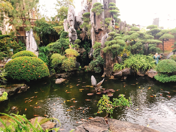 4-year-old boy drowns in pond at coffee shop in northern Vietnam