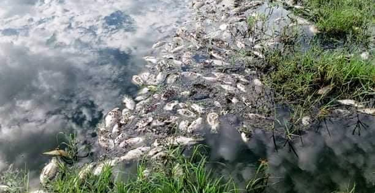 Thai firm fined $28,000 for discharging improperly treated wastewater in Vietnam