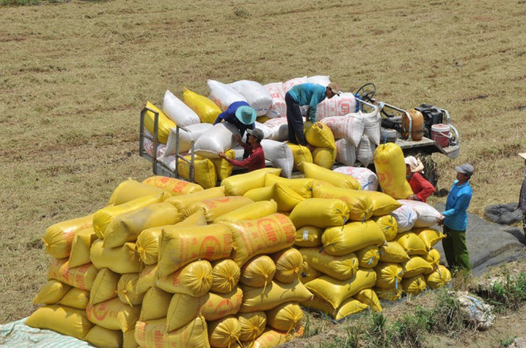 Asian rice: Vietnam rates extend gains, lower supply propels India prices