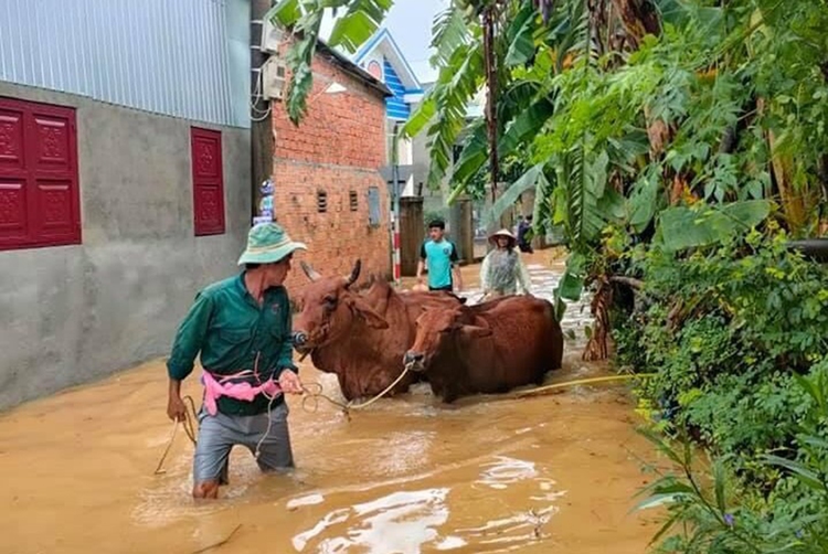At least five missing as torrential rains trigger raging floods in central Vietnam