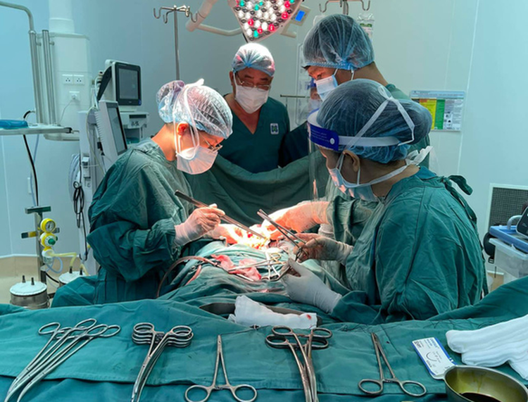 Ho Chi Minh City doctors excise over 100 tumors from woman’s abdomen