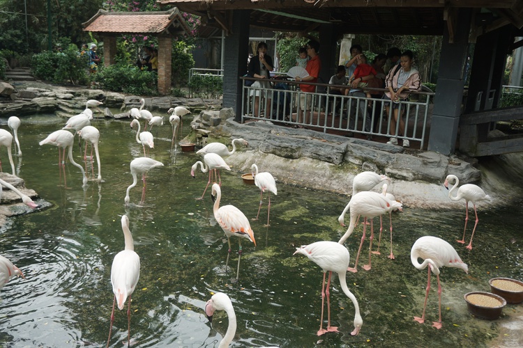 Vietnam’s oldest zoo to reopen given slower coronavirus spread in Ho Chi Minh City