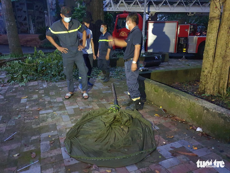Rescuers move giant beehive at Vietnam’s oldest zoo