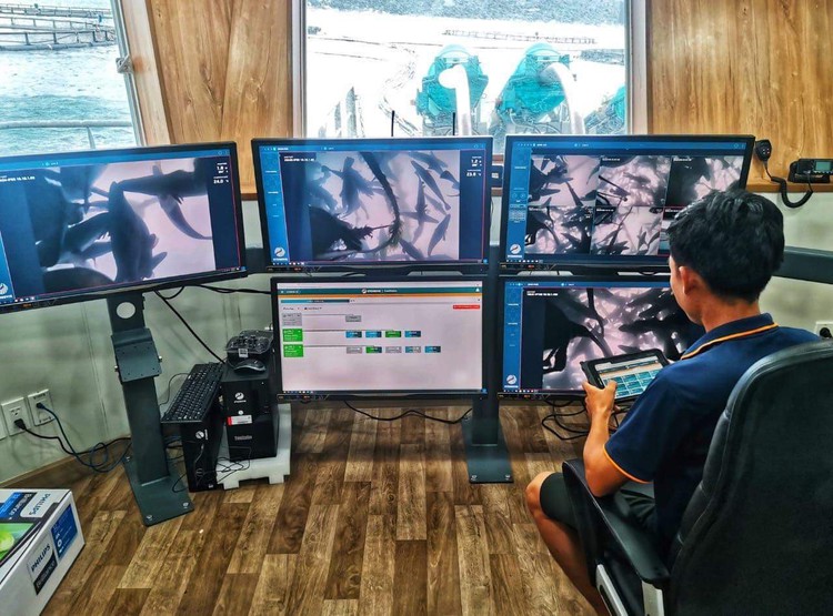 US firm with climate-smart ocean farming in Vietnam receives State’s award