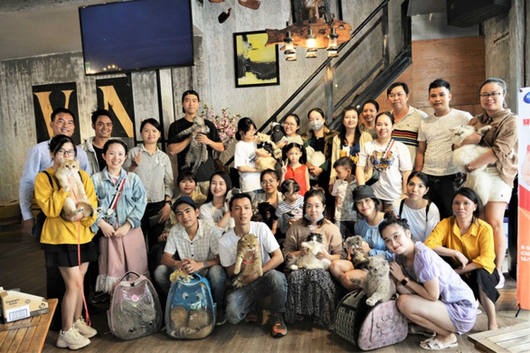 Young Vietnamese prefer foreign cats as pets