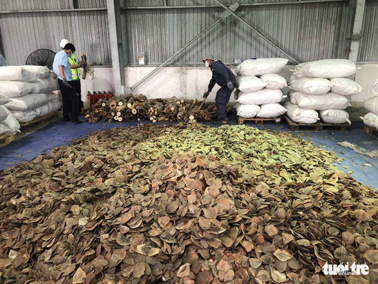 Vietnam seizes over 6 tonnes of suspected ivory, pangolin scales smuggled from Nigeria