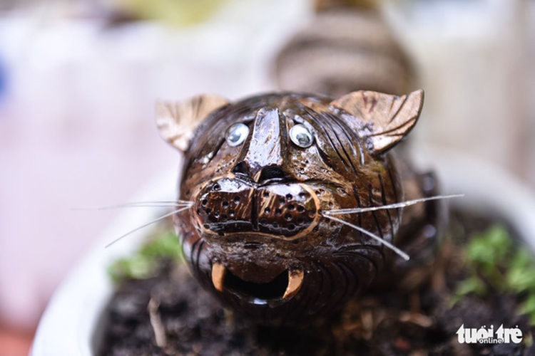 Art lovers shell out for tiger-shaped coconut bonsai as Lunar New Year nears in Vietnam