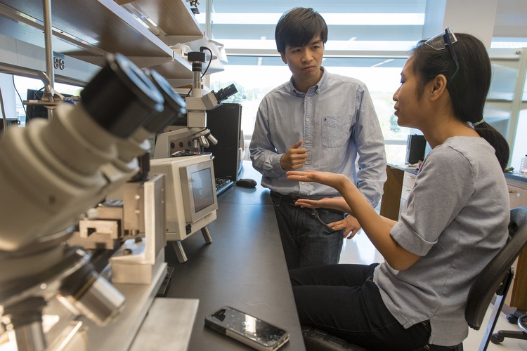 Vietnamese scientist develops skin patch vaccine technology