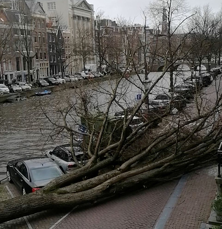 Falling trees kill three as Storm Eunice hits the Netherlands