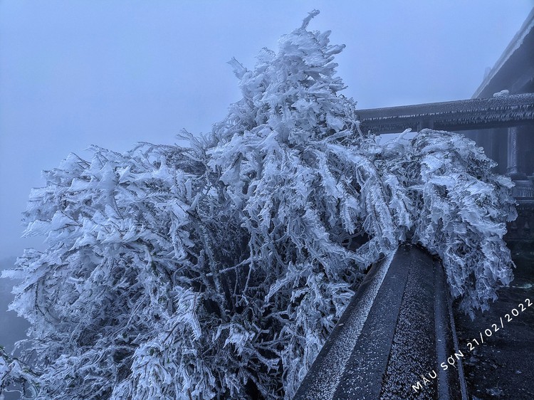 Thick frost covers mountains as temperatures plummet further in northern Vietnam