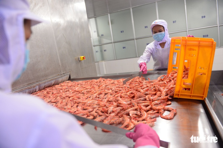 Vietnam’s int’l trade plagued by Russia-Ukraine conflict