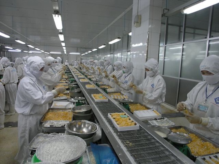 Vietnam’s shrimp exports to US exceed $1bn for first time