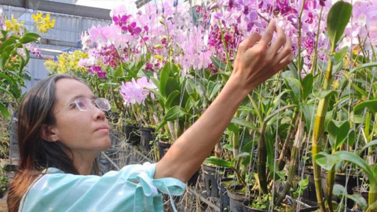 Meet Vietnam’s orchid queen