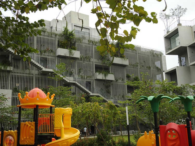 Cuc Phuong National Park: A perfect holiday getaway to immerse yourself in ‘butterfly forest’