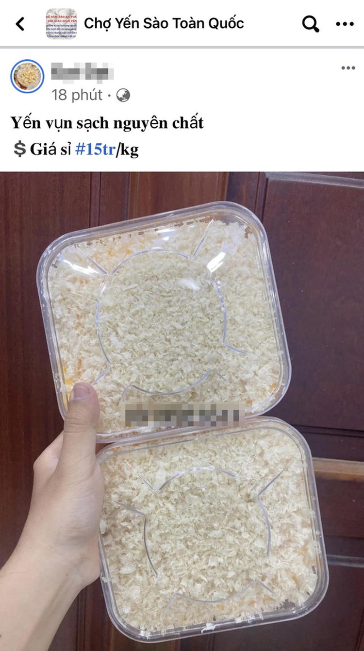 Fake edible bird’s nests flood Vietnamese market