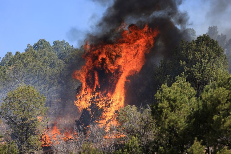 Wildfire threatens 'cultural genocide' in New Mexico villages