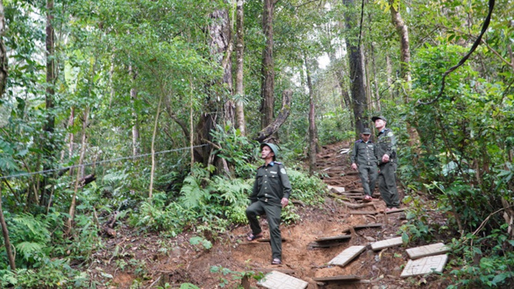 Vietnam will likely pilot carbon credit market by 2025: ministry