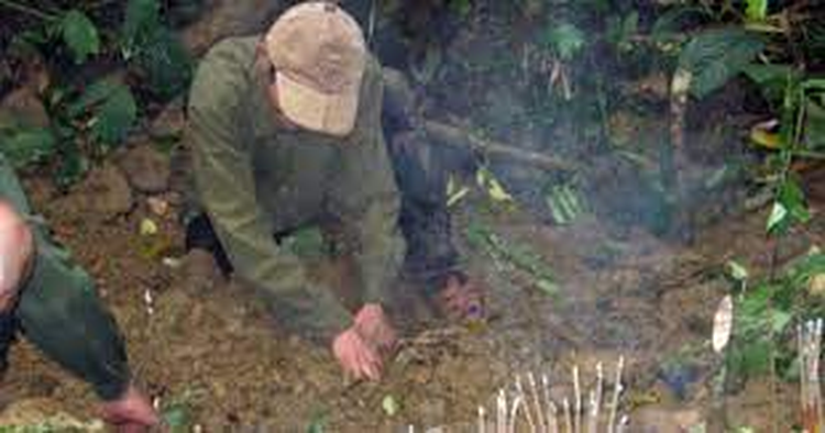 Vietnamese man missing for one month while looking for agarwood in forest